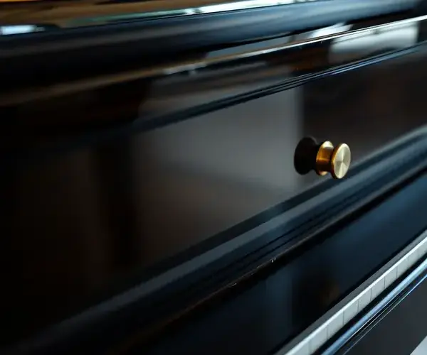 Ebony piano finish detail